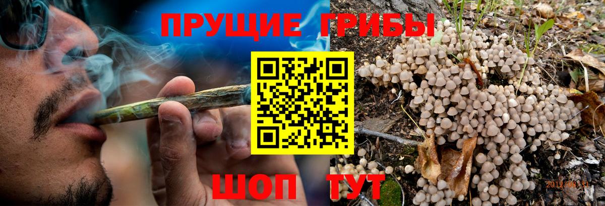 Псилоцибиновые грибы GOLDEN TEACHER  где можно купить наркотик  Лангепас  Вход с VPN 