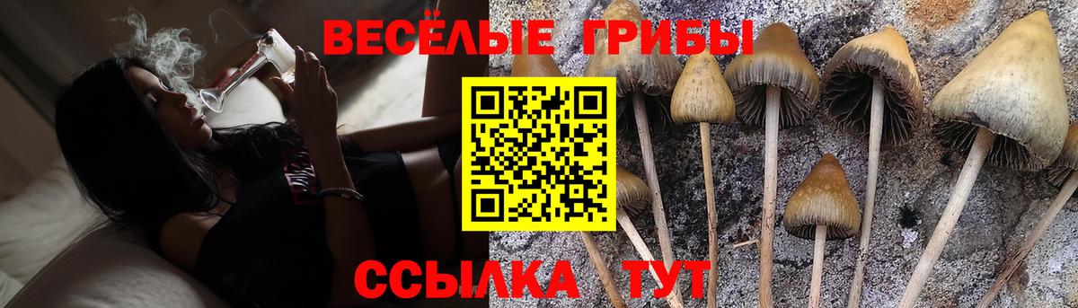 Галлюциногенные грибы ЛСД Лангепас